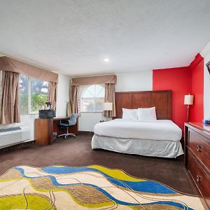 King Room Roll Shower Mobility Access or Non-Smoking